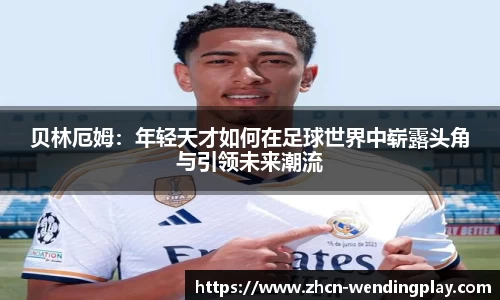 问鼎娱乐官网
